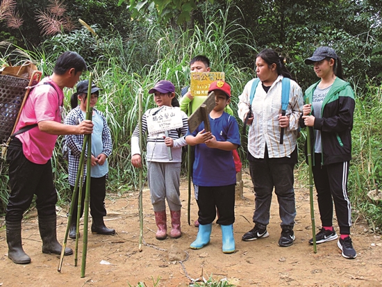 五峰鄉賽夏族文化藝術協會辦理登山活動，帶領孩子學習先人智慧／朱劍鳴 提供