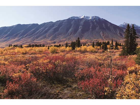 庫瓦倪國家公園及保護區占地遼闊，具有極地天然美景和多樣性的寒帶物種