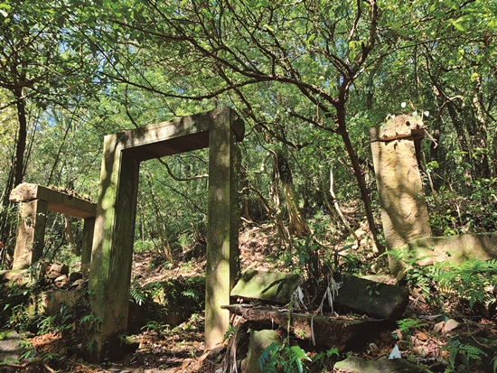 富士坪古道上的大尖茶葉組合遺址／陳守泓 攝