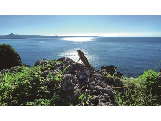 人文輕旅—海天一色遊西岬