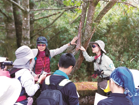 玉山國家公園環境教育課程