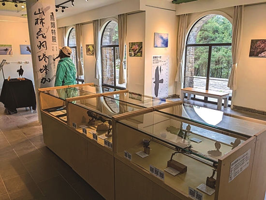 山林飛羽—塔塔加鳥類特展活動