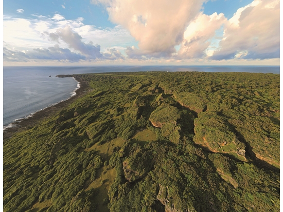 墾丁龍磐崩崖／陳忠能 攝