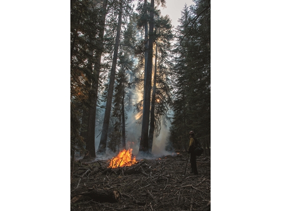 優勝美地國家公園遭遇大規模林火／ NPS Photo 提供