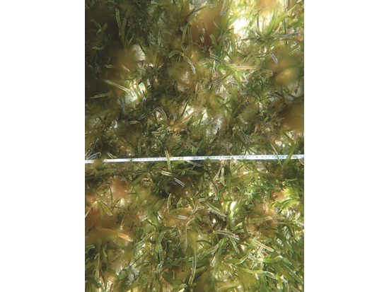 測量特寫／宋克義 提供