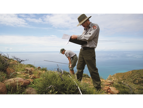 U.S. National Park Service personnel conducting a vegetation survey / Provided by NPS