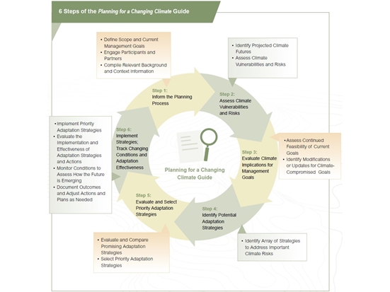 6 Steps of the Planning for a Changing Climate Guide