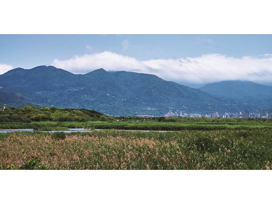 Healthy wetlands have ample capacities as carbon sinks / Provided by Shu-Ying Liu
