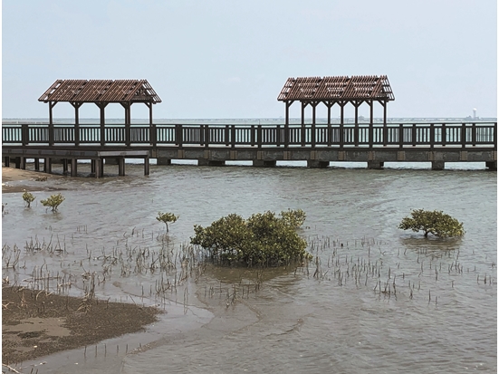 Human use is also a part of the social ecosystem / Provided by Shu-Ying Liu