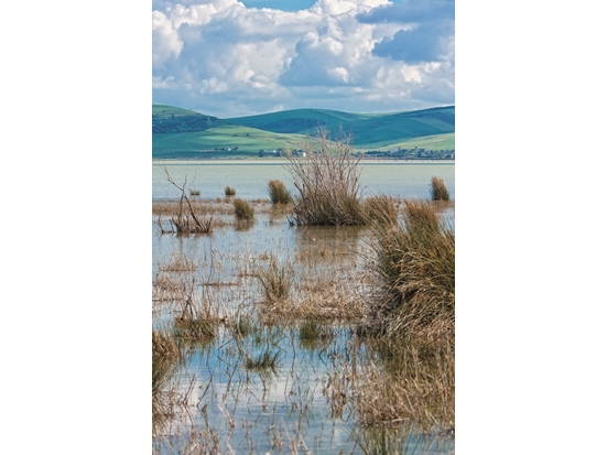 Ichkeul National Park's wetland system is comprised of many lakes and swamps./ Photo by Agnieszka Wolska(Source: https://commons.wikimedia.org/wiki/File:Ichkeul_Lake.jpg)