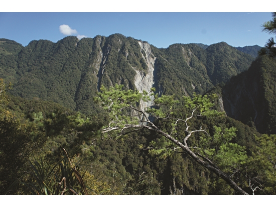 Close-up view of Gubaiyang Great Cliff; the geology of Bilu Mountain's east ridge is fragile and prone to collapse./ Provided by Hsang-Te Chin