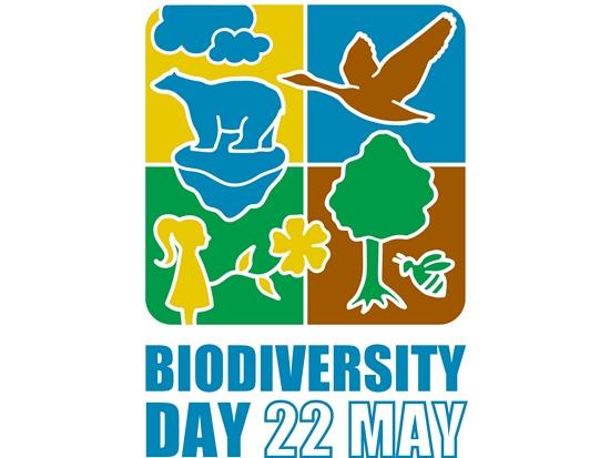 2022 年國際生物多樣性日LOGO