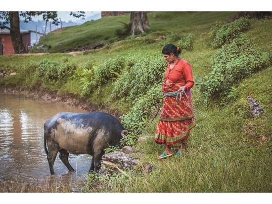 人與動物皆仰賴此地區自然資源維生