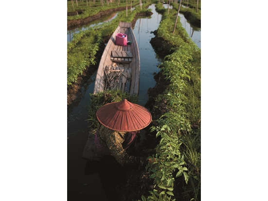 來自興都庫什喜馬拉雅山域的水源灌溉下游農田