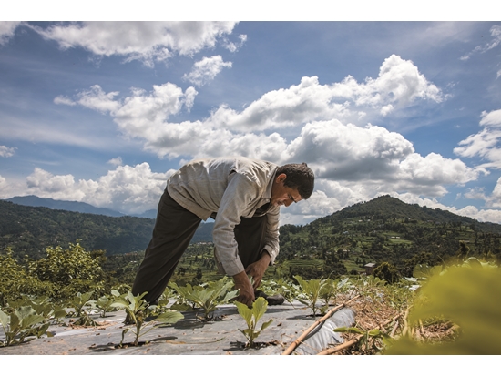 鼓勵農民轉向友善耕作