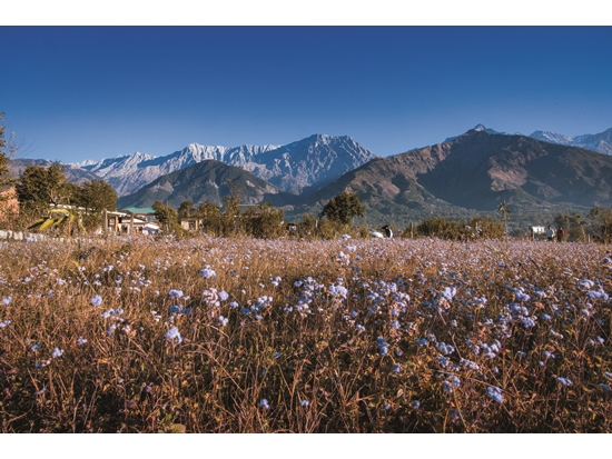 積極修正戰略解決環境問題，不只為山也為人