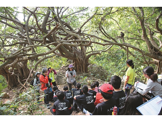 壽山國家自然公園以臺灣獼猴為主題的環教課深受民眾喜愛