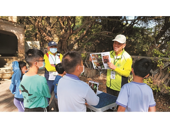 藉由圖卡認識臺灣獼猴的外觀特徵