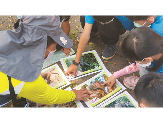 學習解讀獼猴的臉部語言