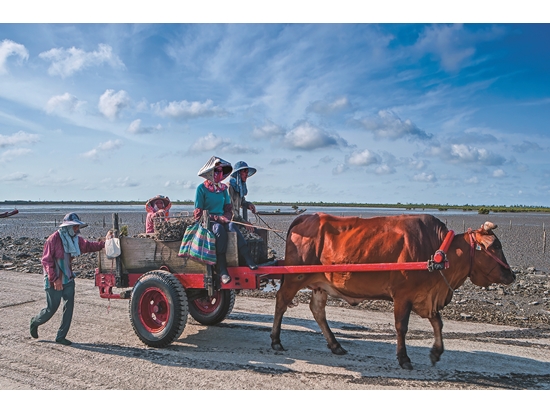 人文攝影作品《歸》