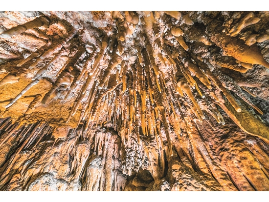 打開山林間的寶箱──壽山國家自然公園