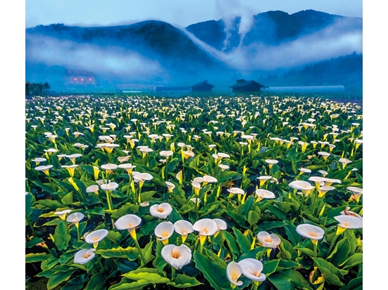 見山不是山，從日常見人文──陽明山國家公園