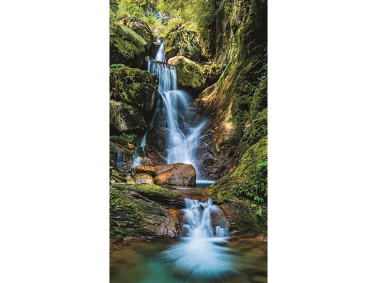 為了尋美，義無反顧──玉山國家公園