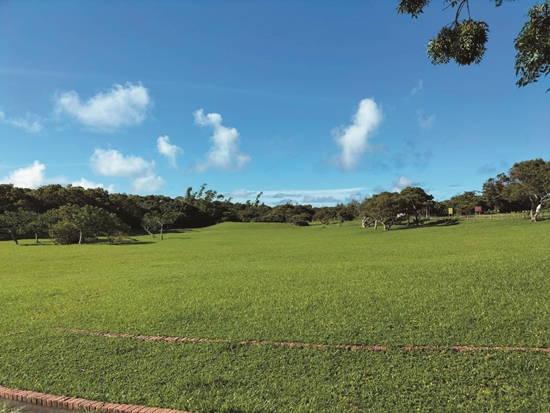 人文輕旅- 山風雲影龜仔甪