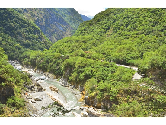 與天祥有約系列活動―森癒 • 綠水瑜伽