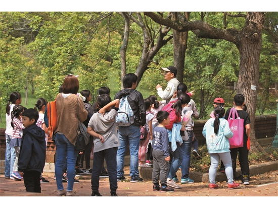 假日親子活動―鳥類生態觀察