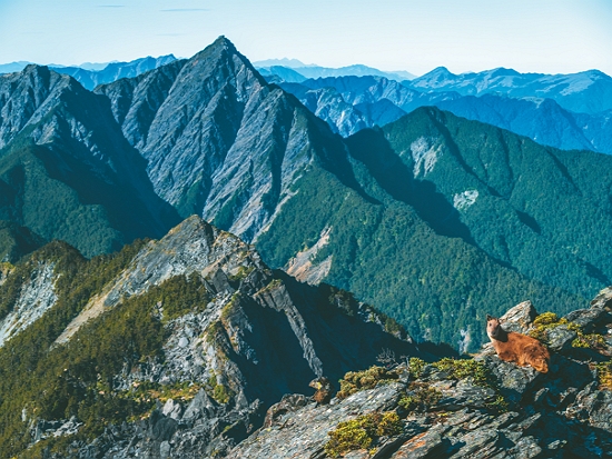 將臺灣的土地之美傳遞給更多人，是王鑫一生的志業／賴錦煌 攝
