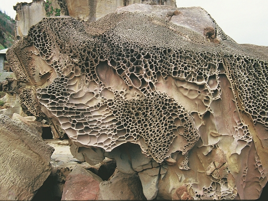 考察墾丁國家公園預定地區時所攝之佳樂水海岸蜂窩岩／王鑫 攝