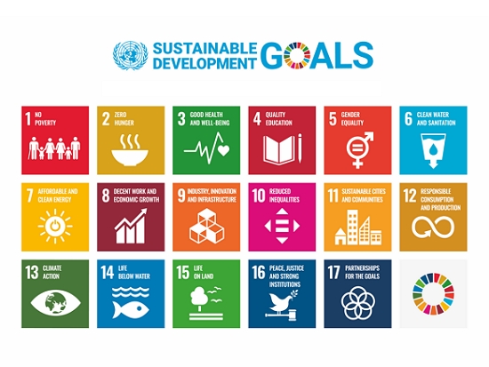 聯合國永續發展目標（Sustainable Development Goals, SDGs）／公有領域
