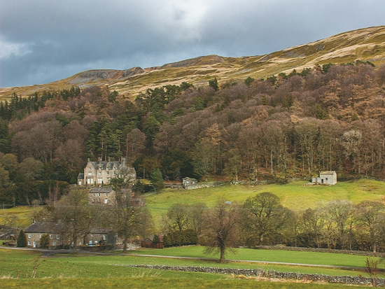 英國約克郡谷地國家公園積極擴大針葉林復育面積／ Yorkshire Dales National Park 提供（Wendy McDonnell 攝）