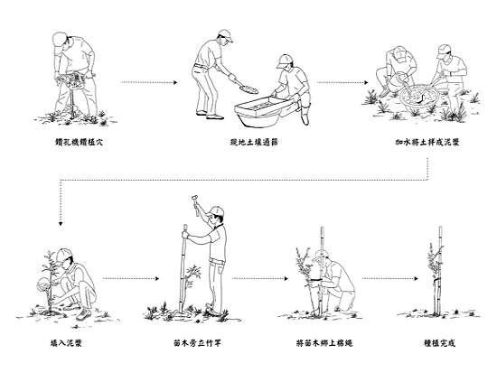 植穴坑栽植法流程／邱清安 提供