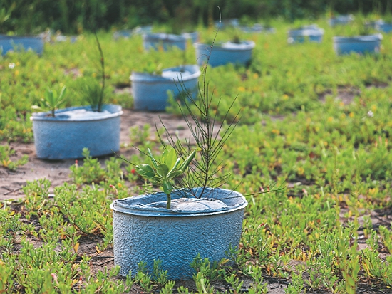 水寶盆／慈心基金會 提供