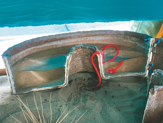 水寶盆剖面／慈心基金會 提供