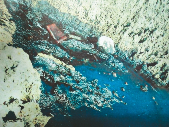 阿瑪斯號貨輪滲漏的油污嚴重汙染海面及礁岩／墾管處 提供