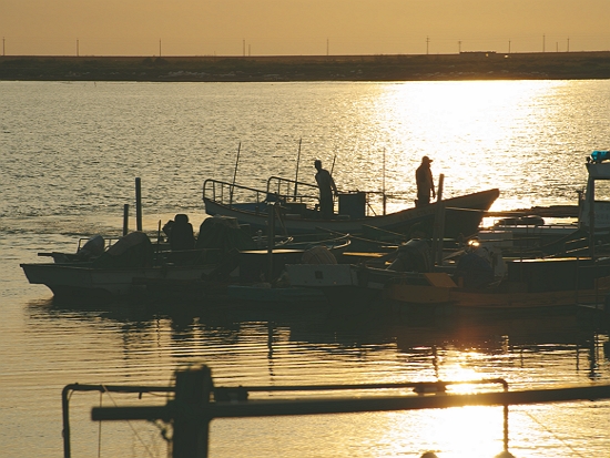 傍海而生的台江子民／台管處 提供