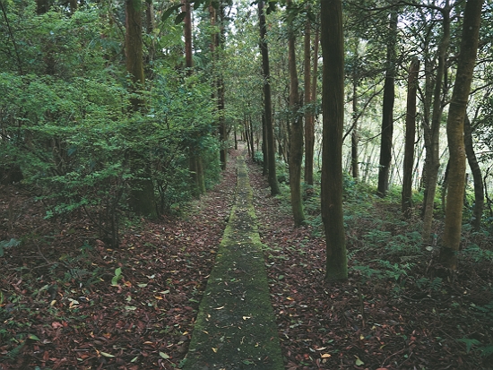過去長期管制封閉的巡守步道，成為實境解謎的真實場景／陽管處 提供（張雅雯 攝）