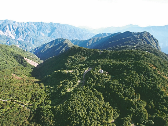 塔塔加地區空拍圖，建築物為塔塔加遊客中心／金科國際多媒體有限公司 提供