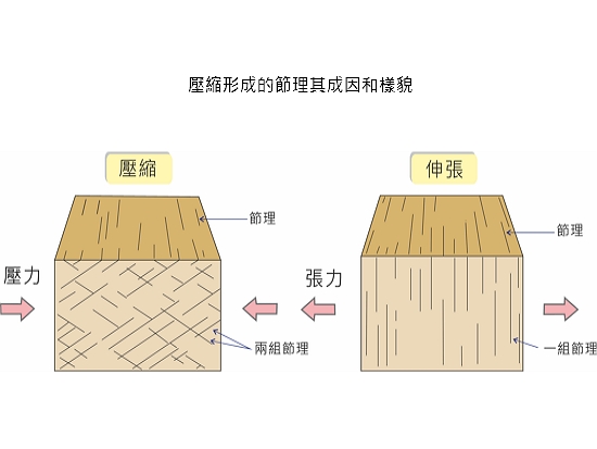 藉由繪圖與現場照片對照，可輕鬆理解壓縮形成的節理其成因和樣貌／太魯閣國家公園管理處 提供