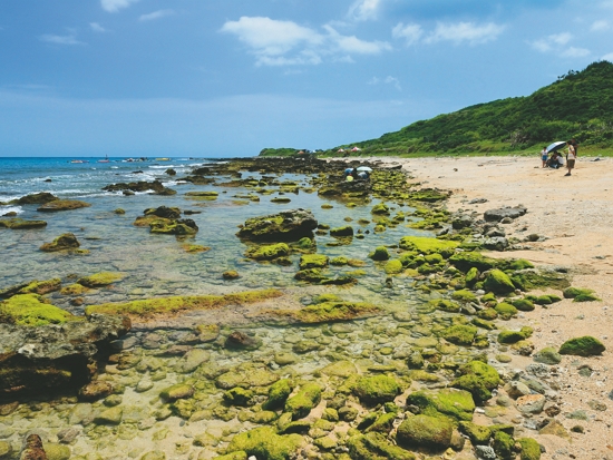 墾丁後壁湖潮間帶／陳忠能 攝