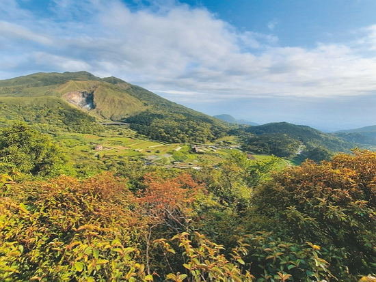 陽明山竹子湖（頂湖）悄悄開啟一場與環境共生的友善農業革命／慈心基金會 提供