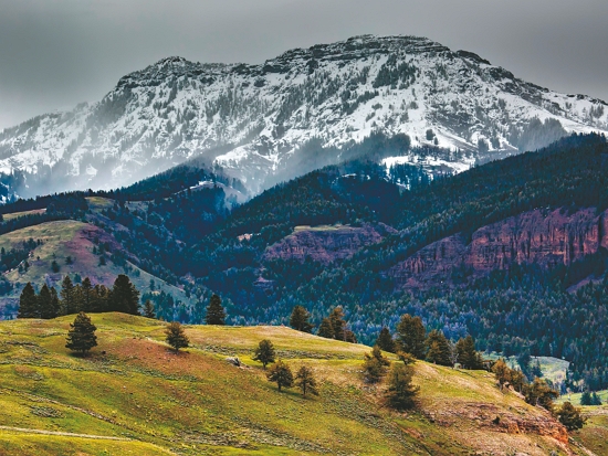 黃石公園面積達88 萬公頃／David Mark 提供