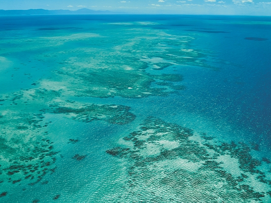 澳洲大堡礁海洋公園擁有得天獨厚的珊瑚礁生態／Ank Kumar 提供