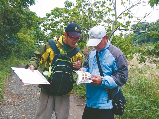 蝴蝶穿越線調查兩人一組，一人觀察蝴蝶和鑑別種類、一人紀錄／墾管處 提供