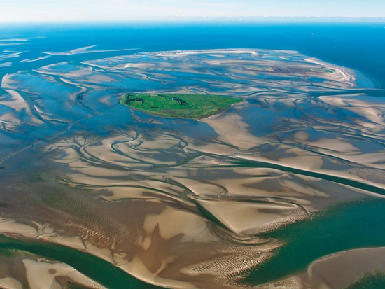 面積超過2萬平方公里的瓦登海區域擁有複雜的棲地環境／Ralf Roletschek 提供