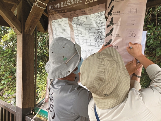 調查員記錄每日的天候、過境猛禽的物種與數量／台灣猛禽研究會 提供