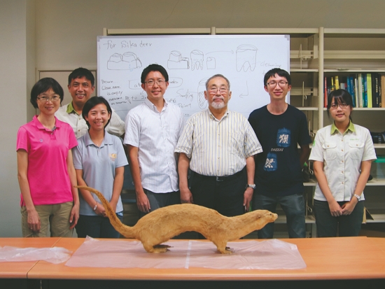 久大介博士（左四）來臺協助萃取臺灣早期水獺剝製標本DNA／張廖年鴻 提供